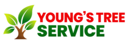 Young's Tree Care
